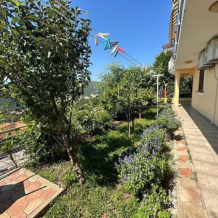 Apartmani Stella Rabac Εξωτερικό φωτογραφία